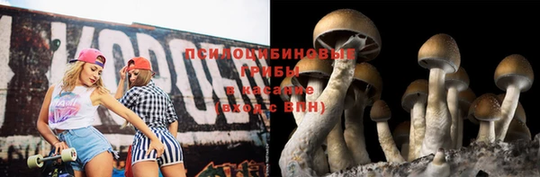 бошки Верхнеуральск