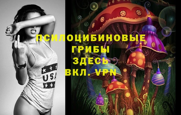 бошки Верхнеуральск