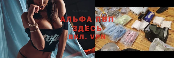 mix Богородицк
