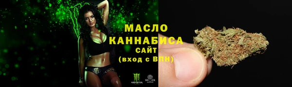 гашик Богданович