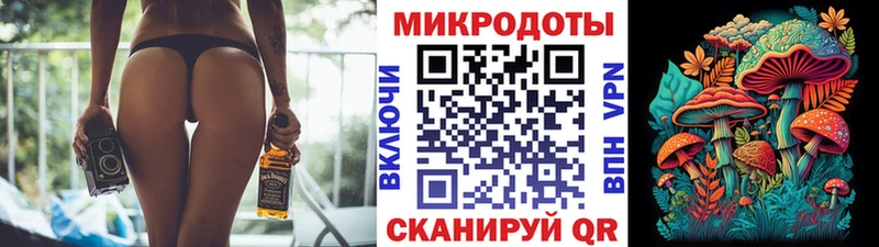 Псилоцибиновые грибы Psilocybe Данилов